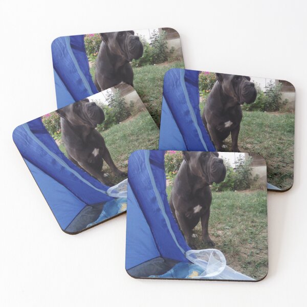 Item preview, a big dog next to the tent cane corso  designed and sold by BS-animals.