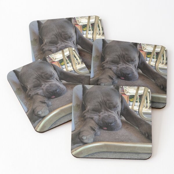 Item preview, a big dog in a coma under the table, cane corso  designed and sold by BS-animals.