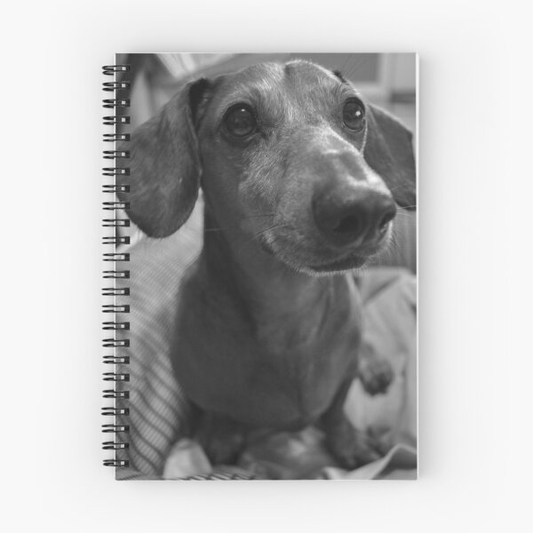 Item preview, Puppy Dog Eyes designed and sold by Blue Daisy Photography.