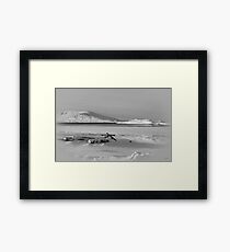 Winter Framed Print