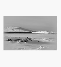 Winter Photographic Print