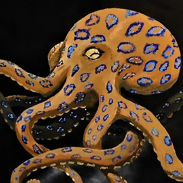 Artwork thumbnail, Blue Ringed Octopus by Stephanie Sargeantson