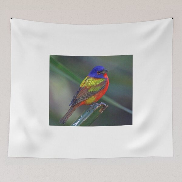 Item preview, Painted Bunting designed and sold by Anthony Goldman.