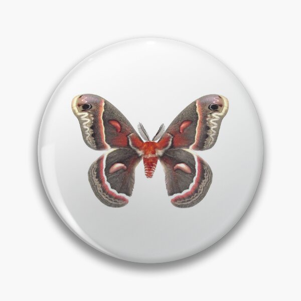 Item preview, Silkmoth print designed and sold by Art OnTheSpectrum.