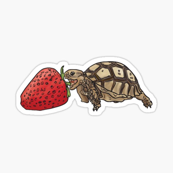 Item preview, sulcata tortoise vs strawberry designed and sold by PHEARCO.