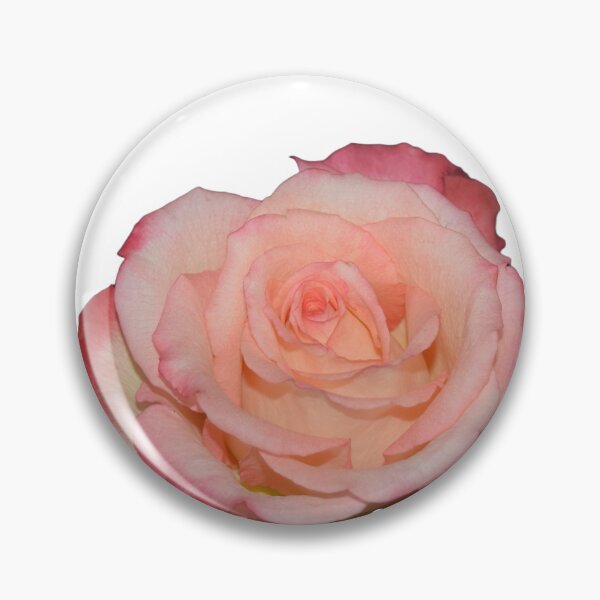 Item preview, Rosa rosada designed and sold by Louise-Mae.
