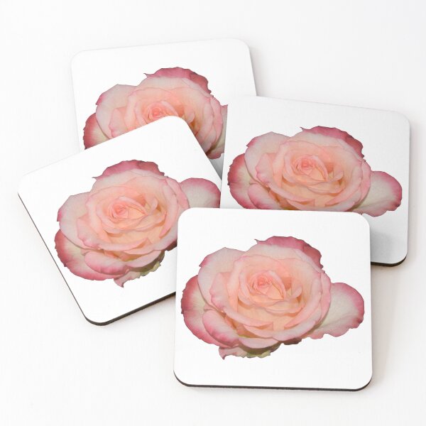 Item preview, Pink Rose designed and sold by Louise-Mae.