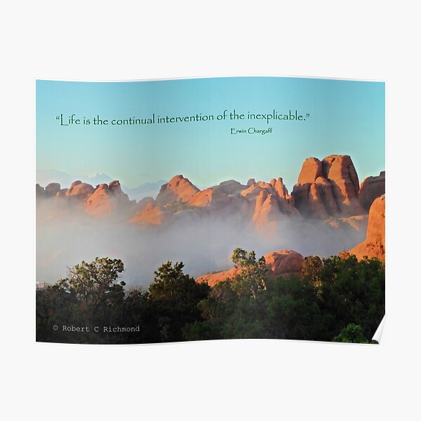 Life is . . . Poster
