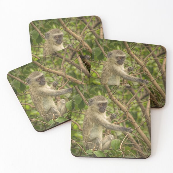 Item preview, Up in the Trees designed and sold by Viv Thompson Photography .