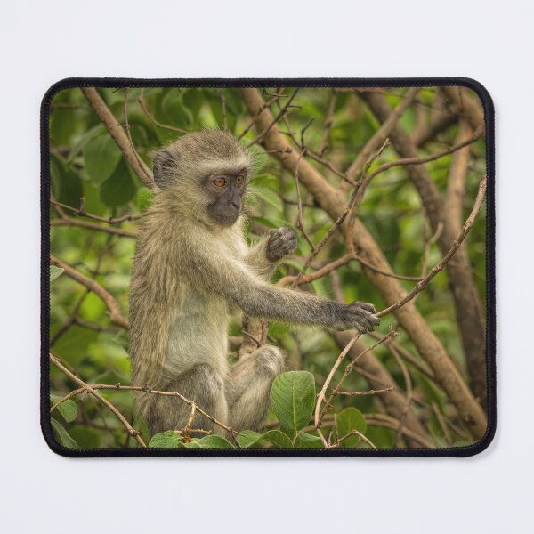 Item preview, Up in the Trees designed and sold by Viv Thompson Photography .