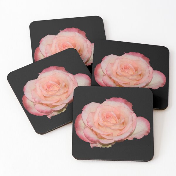 Item preview, Pink Rose - black background designed and sold by Louise-Mae.
