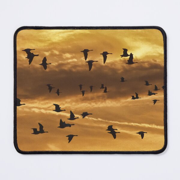 Item preview, Geese designed and sold by Guardi71.