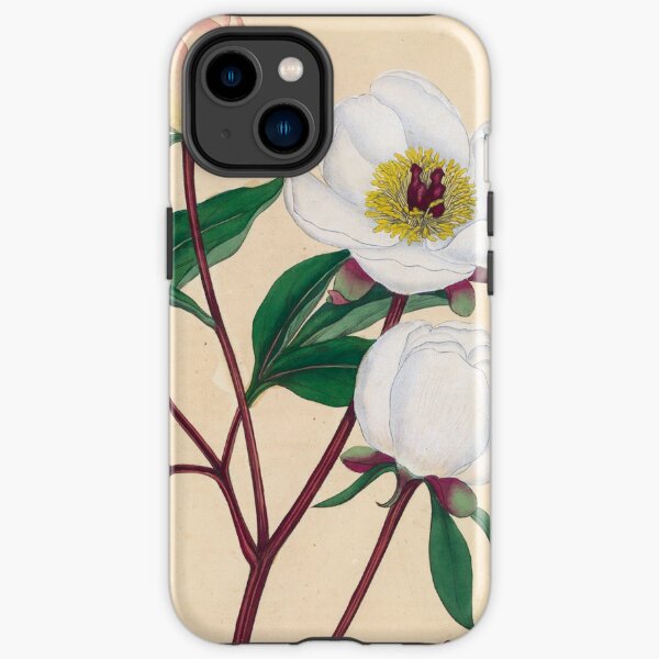 Botanical illustration: Peonies by Henry Charles Andrews – State Library Victoria iPhone Tough Case