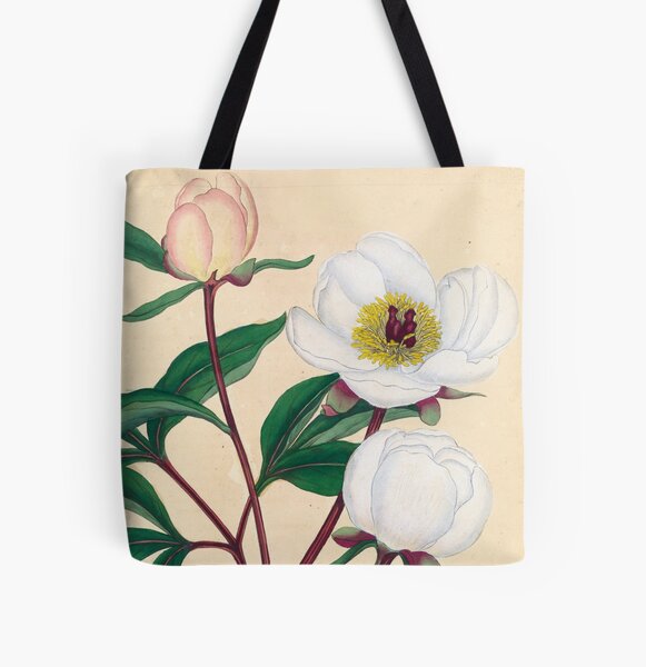 Botanical illustration: Peonies by Henry Charles Andrews – State Library Victoria All Over Print Tote Bag
