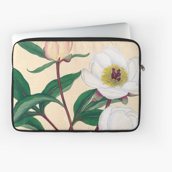 Botanical illustration: Peonies by Henry Charles Andrews – State Library Victoria Laptop Sleeve