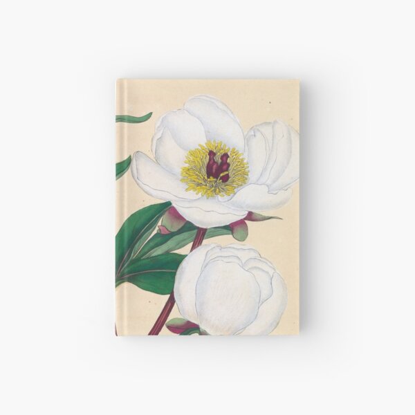 Botanical illustration: Peonies by Henry Charles Andrews – State Library Victoria Hardcover Journal
