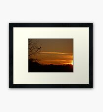 Fly Away Framed Print