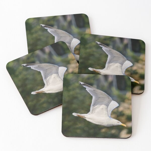 Item preview, Dive and glide. European herring gull designed and sold by Jouko Lehto Photography.