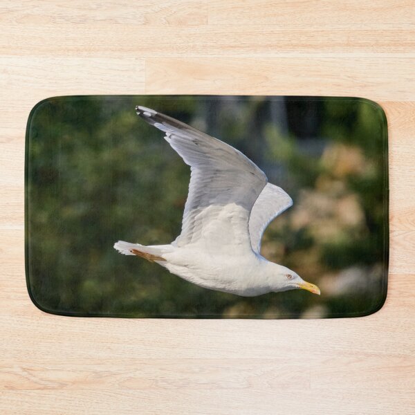 Item preview, Dive and glide. European herring gull designed and sold by Jouko Lehto Photography.