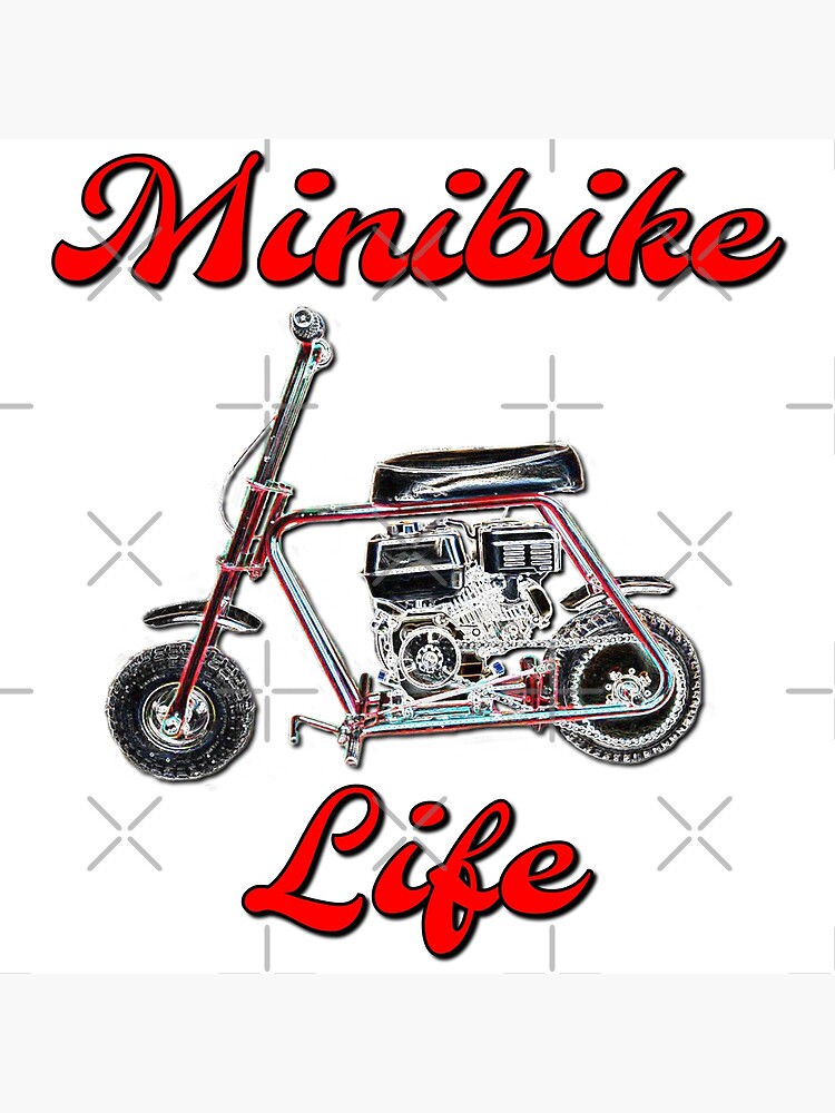 Vintage mini bike sale