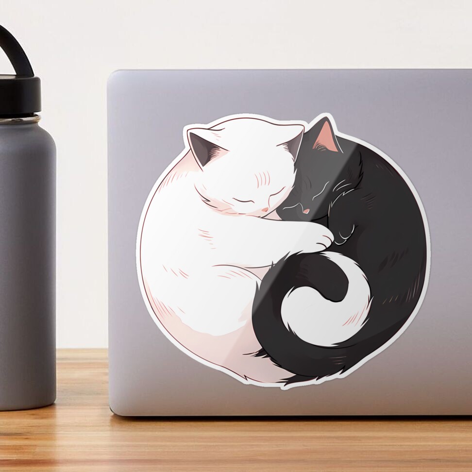 Black White Cat Yin and Yang Water Cup for Women and Daddy Milk