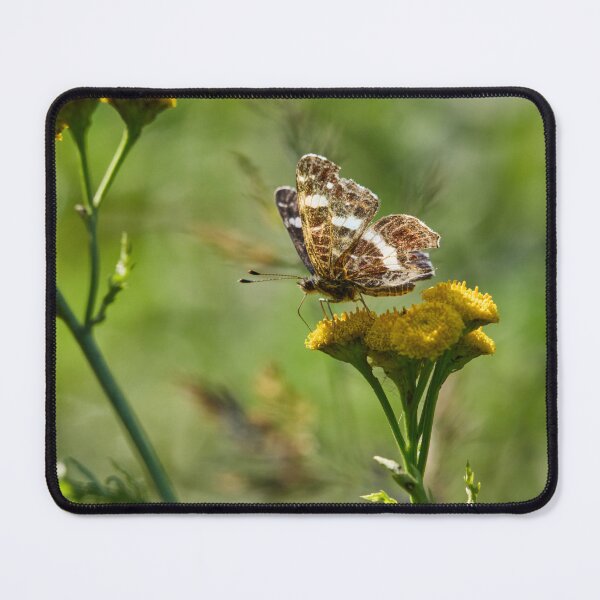 Item preview, The view of the Summer. The Map designed and sold by Jouko Lehto Photography.