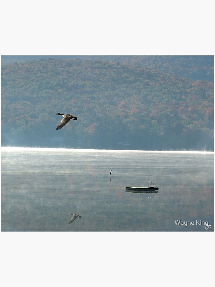 Goose Over Stinson Lake by waynedking