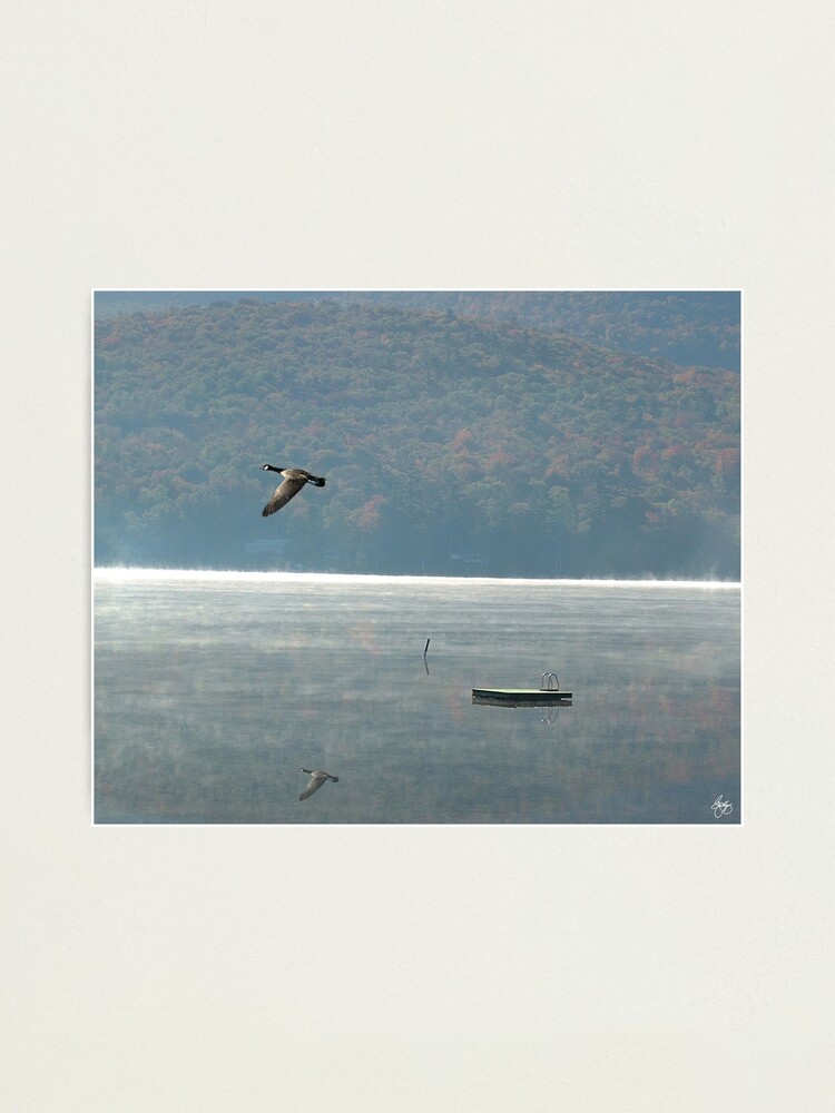 Alternate view of Goose Over Stinson Lake Photographic Print