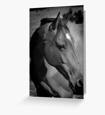roaming Greeting Card