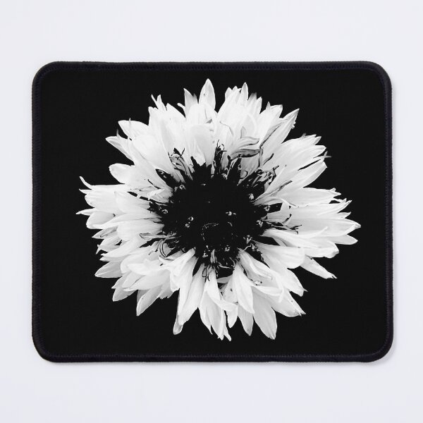 Item preview, Cottage Core Cornflower, Black and White Plant Artwork  designed and sold by suekieper.