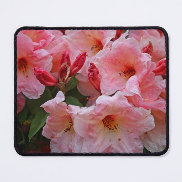 Item preview, Awesome Azalea designed and sold by RedHillDigital.