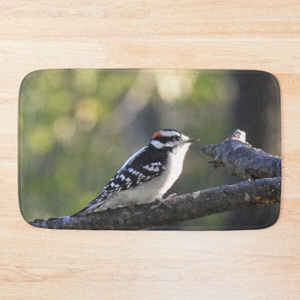 Item preview, Downy woodpecker, wild birds, wildlife photography designed and sold by Sandra O'Toole.