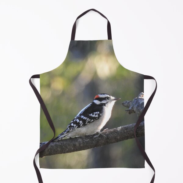 Item preview, Downy woodpecker, wild birds, wildlife photography designed and sold by Sandra O'Toole.