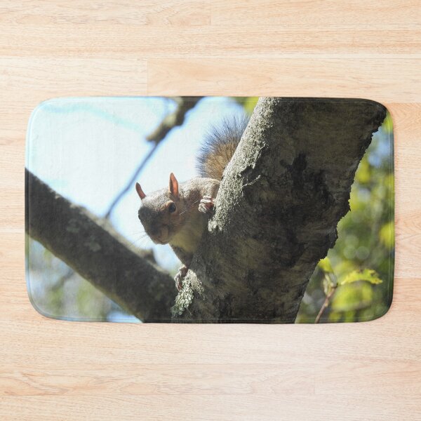 Item preview, Eastern gray squirrel, wildlife photography, wild animals designed and sold by Sandra O'Toole.