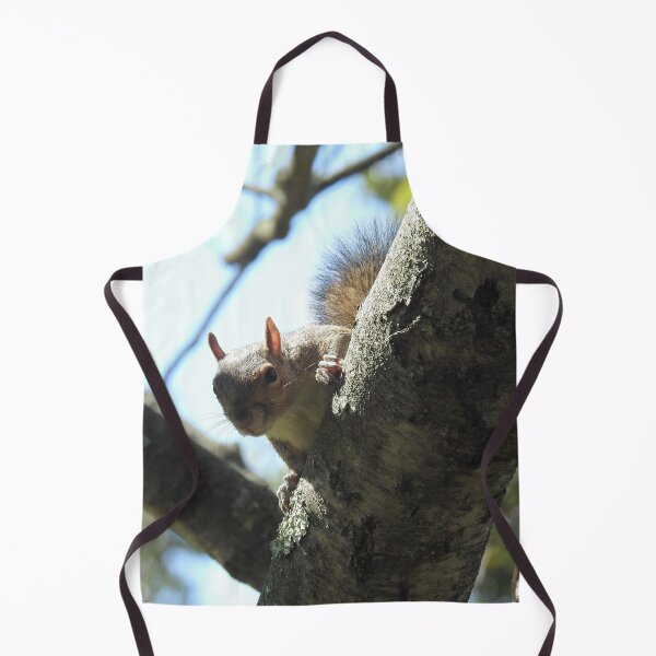 Item preview, Eastern gray squirrel, wildlife photography, wild animals designed and sold by Sandra O'Toole.