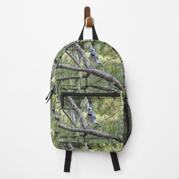 Item preview, Blue jay, wildlife photography, wild birds designed and sold by Sandra O'Toole.