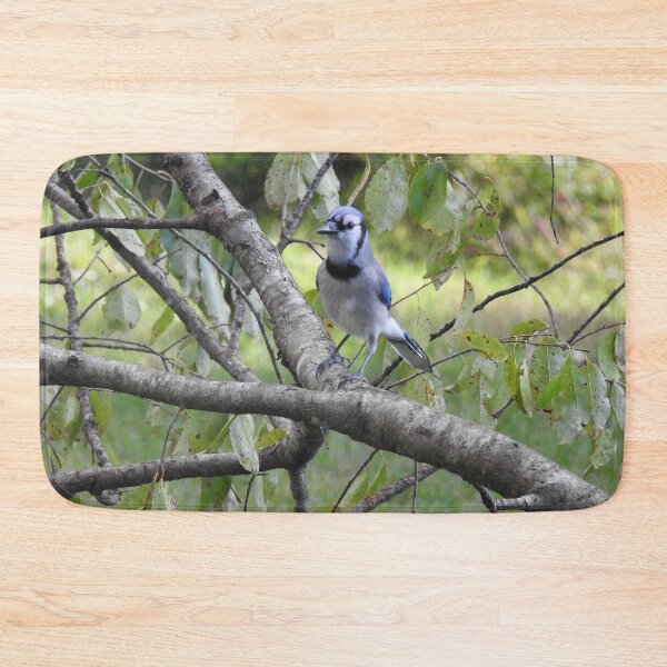 Item preview, Blue jay, wildlife photography, wild birds designed and sold by Sandra O'Toole.