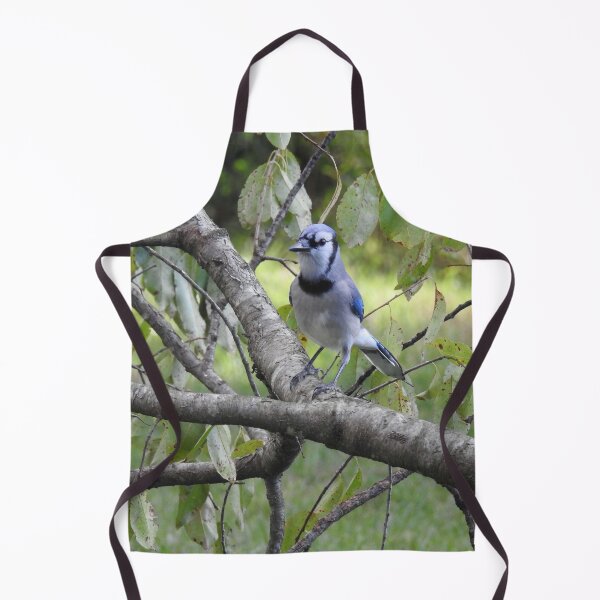 Item preview, Blue jay, wildlife photography, wild birds designed and sold by Sandra O'Toole.