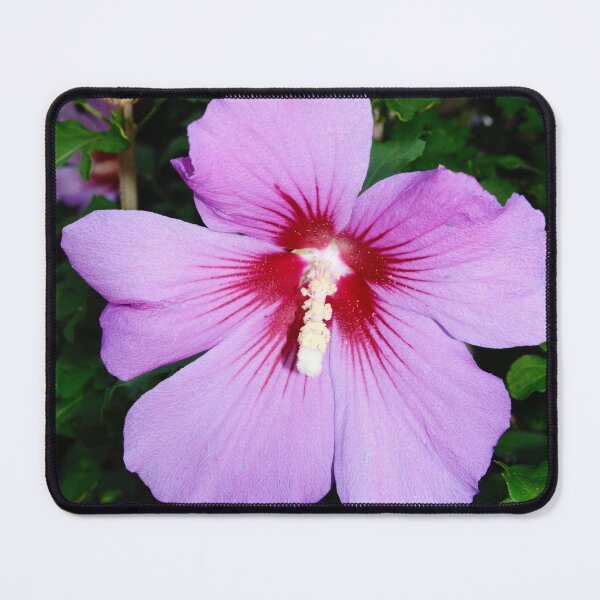 Item preview, Tropical Getaway designed and sold by linspxls.