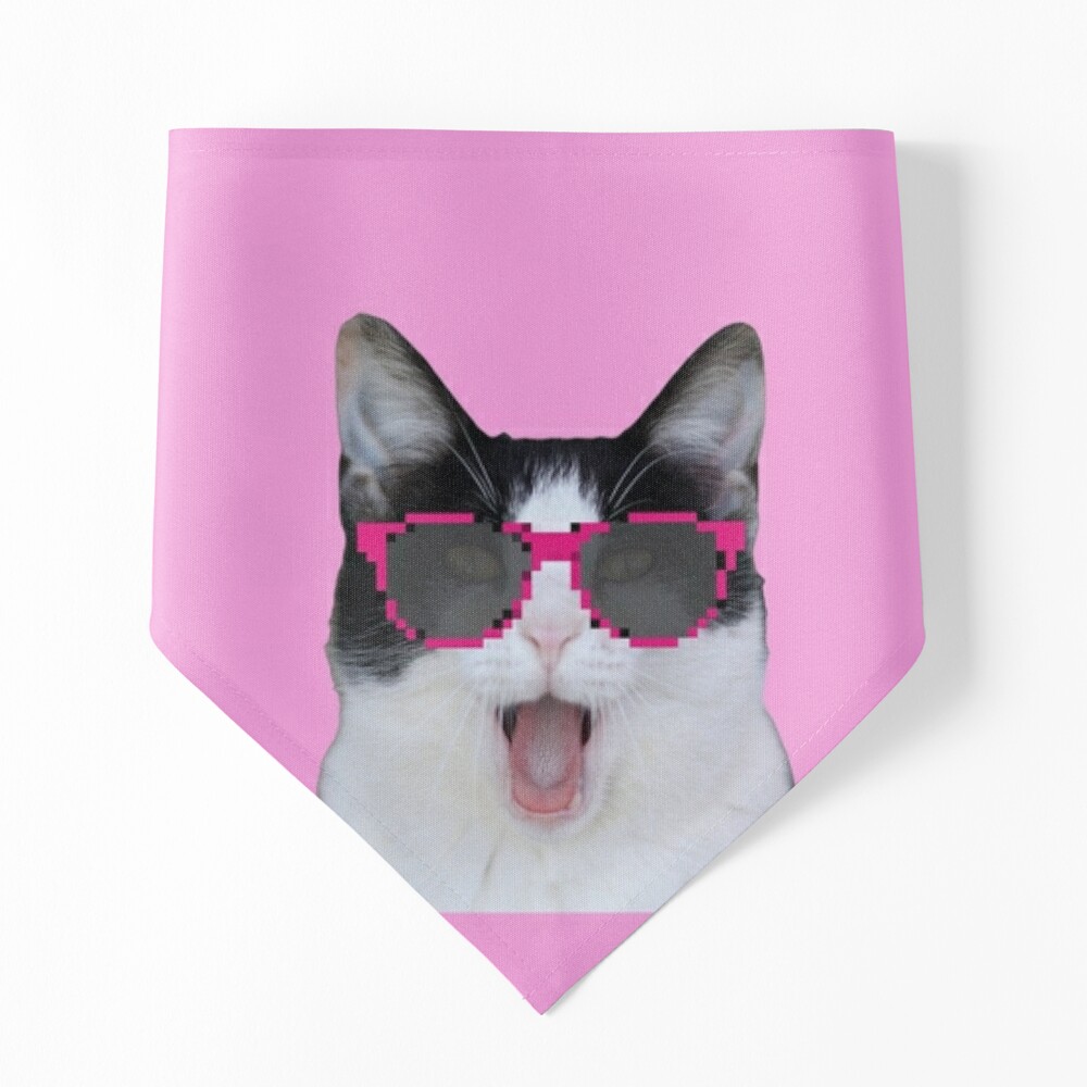 Beluga Discord - Beluga Cat - Pixel Pink Glasses Poster for Sale by  DiensDesign