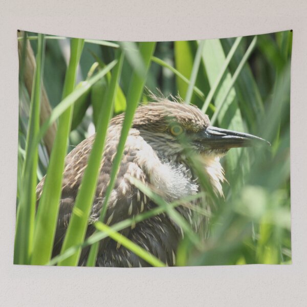 Item preview, Hiding Bird Photography Print designed and sold by griffingphoto.