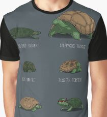 Know Your Turtles Graphic T-Shirt