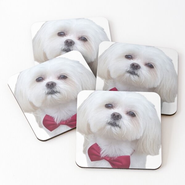 Item preview, puppy, small, love, white, gentle, bow tie, red designed and sold by Stefan-dizain12.