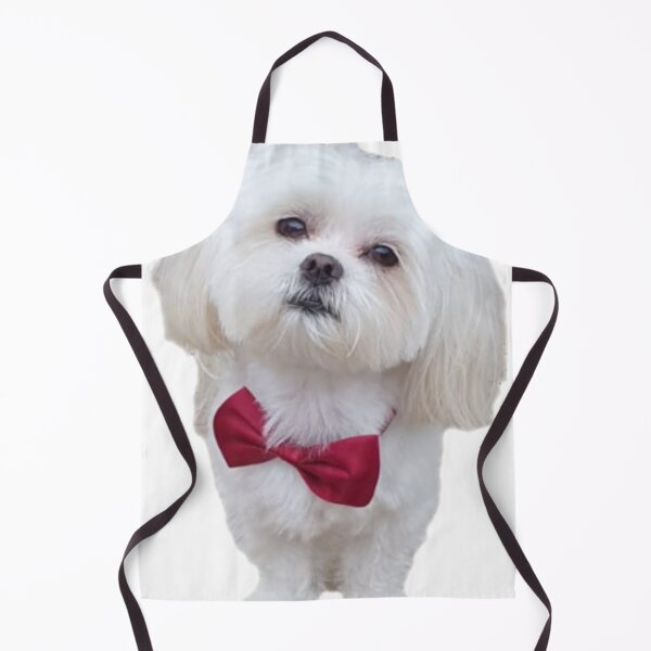 Item preview, puppy, small, love, white, gentle, bow tie, red designed and sold by Stefan-dizain12.