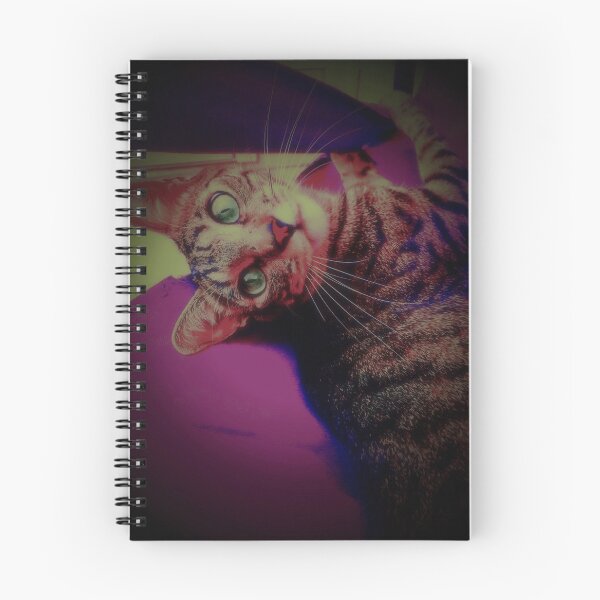 Item preview, Nugget The Cat designed and sold by ColorShop41.