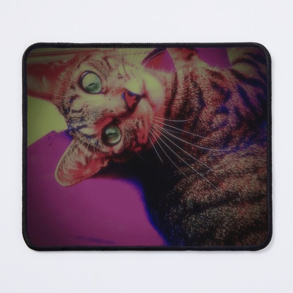 Item preview, Nugget The Cat designed and sold by ColorShop41.
