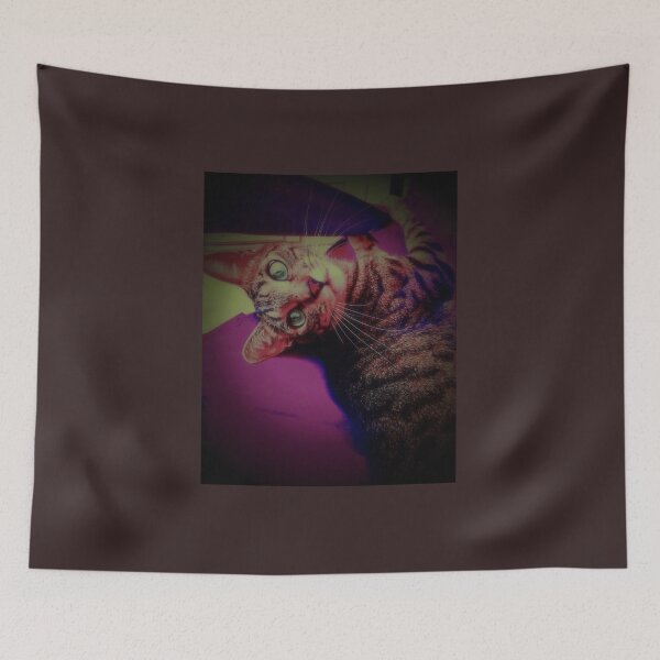 Item preview, Nugget The Cat designed and sold by ColorShop41.