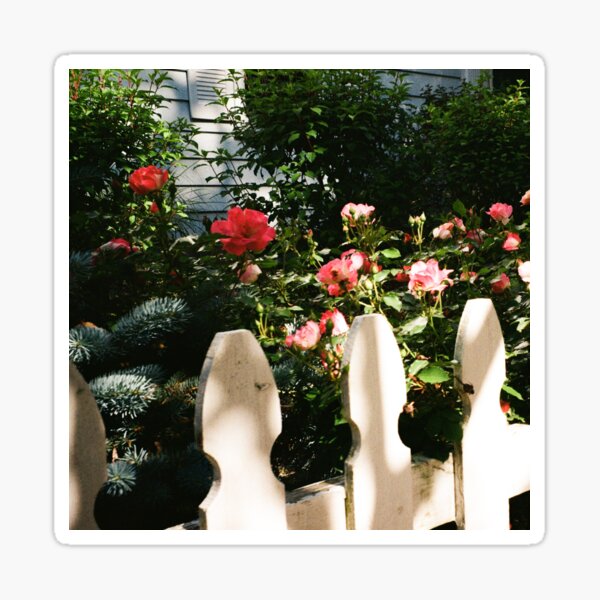 Item preview, Fenced Roses designed and sold by vgkathawate1.