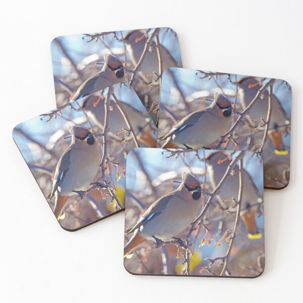 Item preview, New Years Day with the Cedar Waxwings designed and sold by Gilby-Designs.
