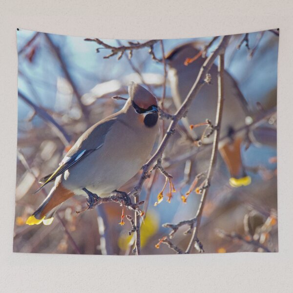 Item preview, New Years Day with the Cedar Waxwings designed and sold by Gilby-Designs.